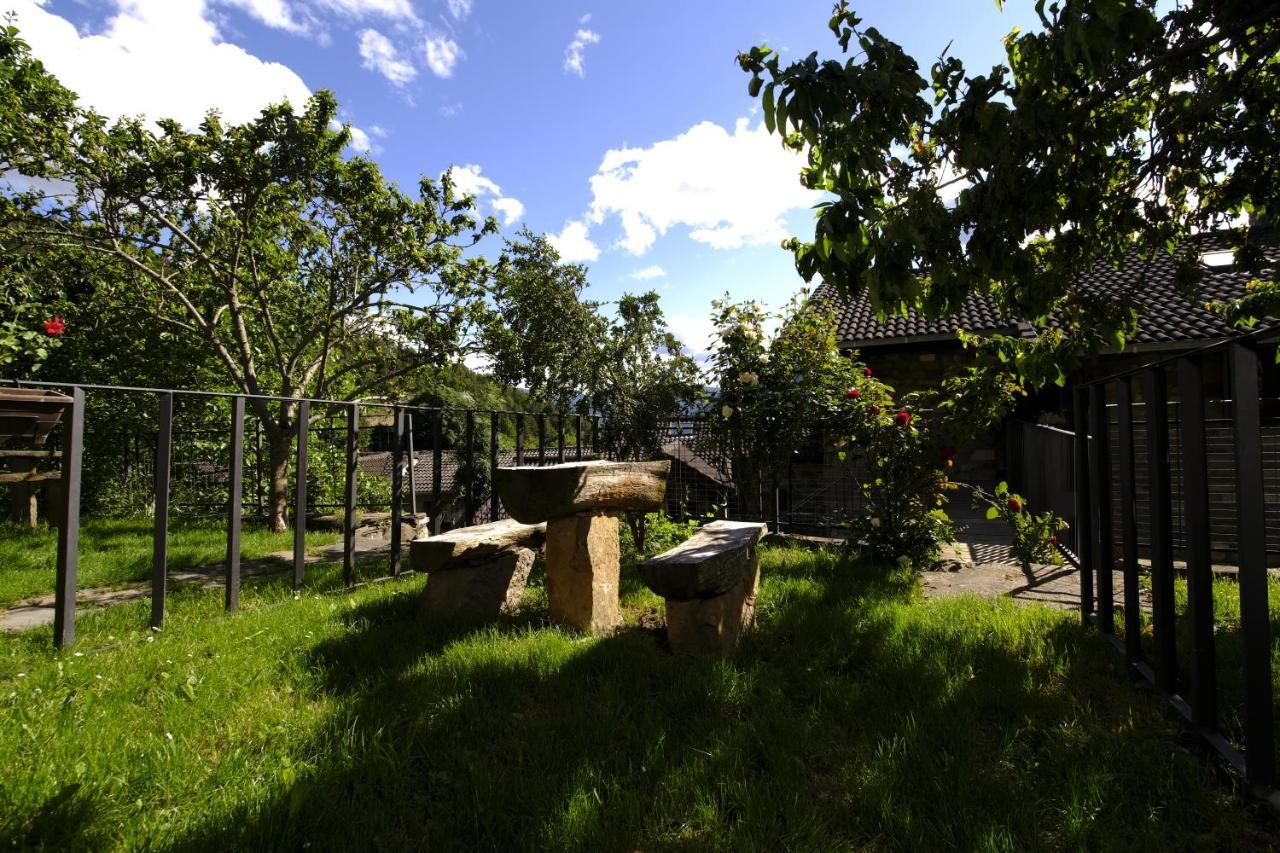 Balcon Del Pirineo Rural Ordesa Otel Buesa Dış mekan fotoğraf