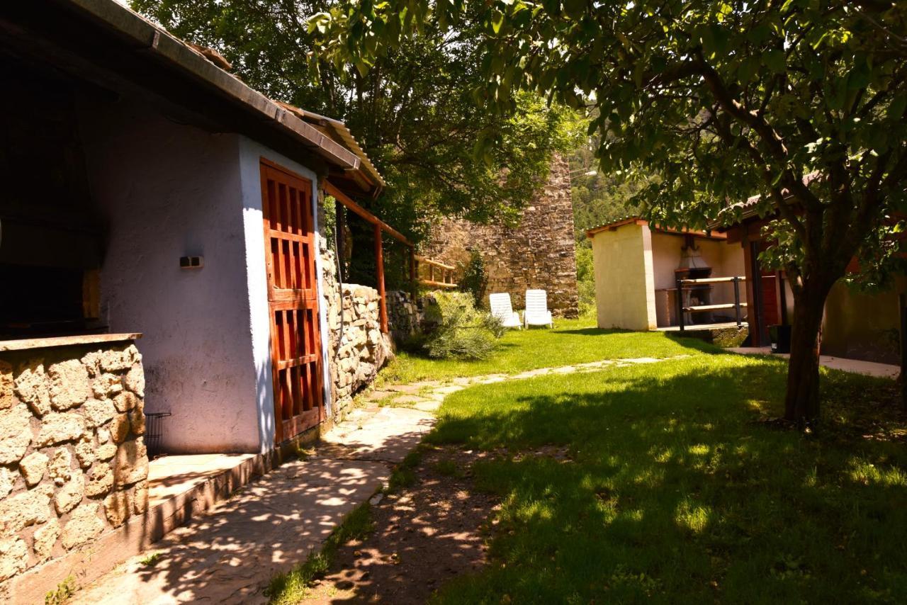Balcon Del Pirineo Rural Ordesa Otel Buesa Dış mekan fotoğraf