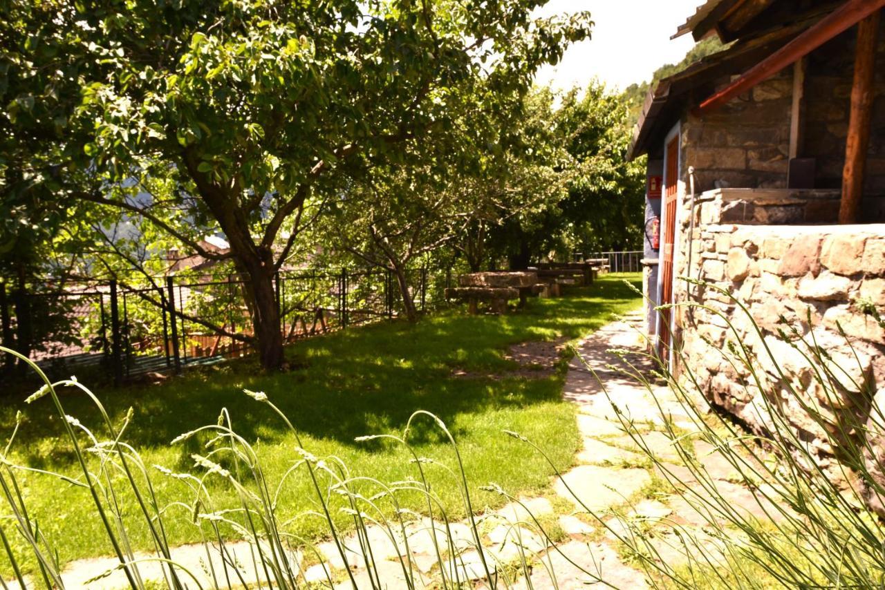 Balcon Del Pirineo Rural Ordesa Otel Buesa Dış mekan fotoğraf